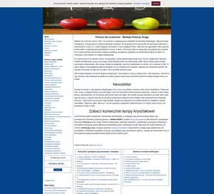 .:ABC Ekonomii:. Biznes plan Analiza Swot Ściągi dla studentów