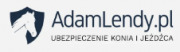 https://adamlendy.pl