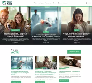 Zwierzęta do adopcji - Adopcje.org