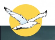 https://albatrostravel.pl/