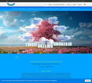 Studia online