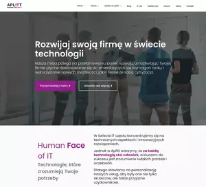 Usługi programowania - aplitt.pl