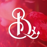 https://www.bomm.pl/