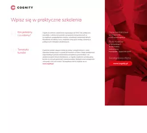 Cognity Excel Training