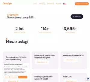 Generowanie leadów B2B - crazyfejm.pl