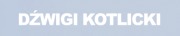 Wynajem dźwigu - dzwigi-kotlicki.pl