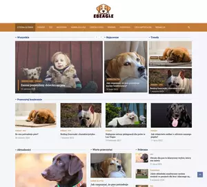 e-beagle.pl - psy rasy beagle