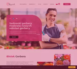 https://gerbera-plants.com