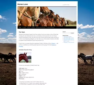 GieldaKoni.com - Internetowa Giełda Koni