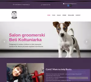 https://www.groomer-wolomin.pl/