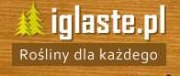 Iglaste.pl