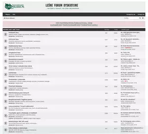 Lasy polskie - leśnictwo w Polsce i lasy na świecie