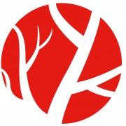 klinika-leczenia-zyl-orawczyk