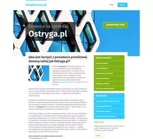 Ostryga - advergame gry promocyjne