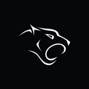 Pantheroar.com