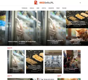RedInfo - firma informatyczna, tworzenie stron www