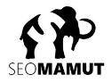 https://seomamut.pl/