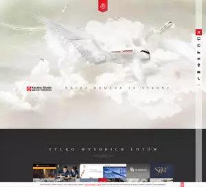 Kaczka Internet Studio WWW