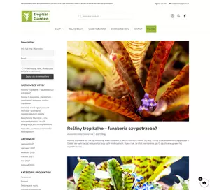 Tillandsia sklep - tropicalgarden.pl