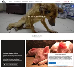 Viva - fundacja chroniąca konie, foki i inne zwierzęta
