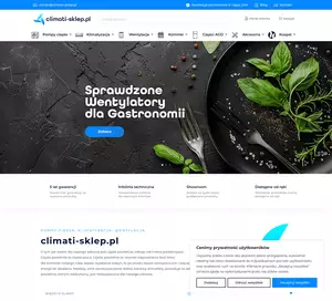 zrzut ekranu strony
