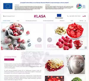 zrzut ekranu strony